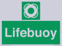 lifebuoy-with-symbol~